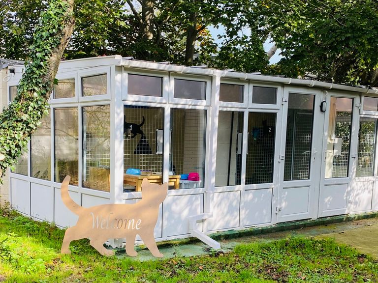 Cat pens for sale sales